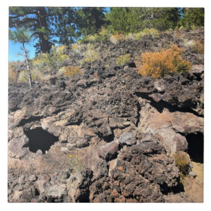 Carreau Lava Cast Forest, OR