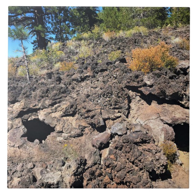 Carreau Lava Cast Forest, OR (Devant)