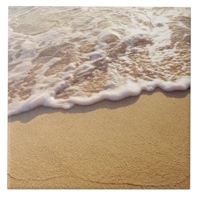 Carreau Le bord 5 de l'eau (Devant)