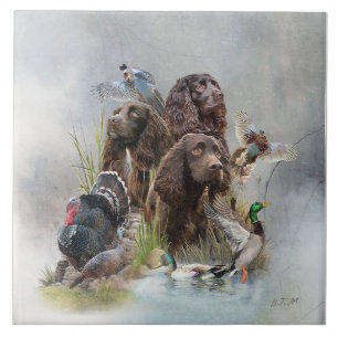 Carreau Le Boykin Spaniel