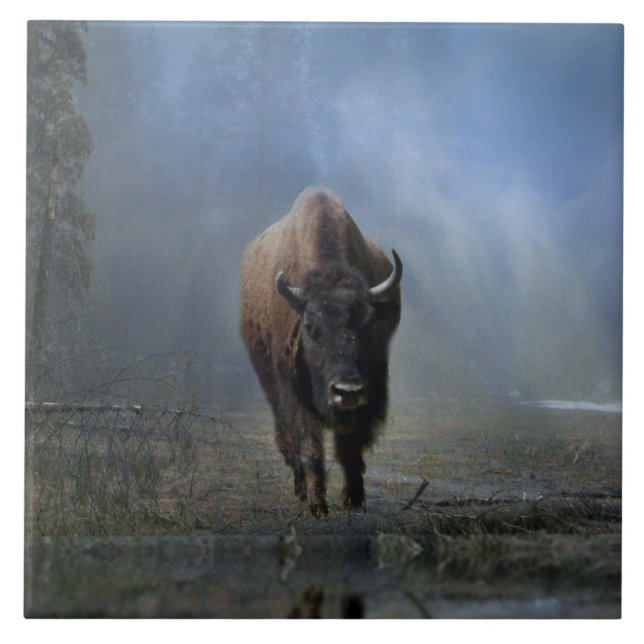 Carreau Le Bufallo amérindien dans le carrelage d'art de l (Devant)