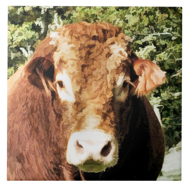 CARREAU LE BULL (Devant)