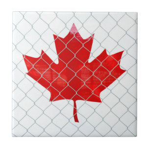 Carreau Le Canada est à l'arrière de la clôture de liai