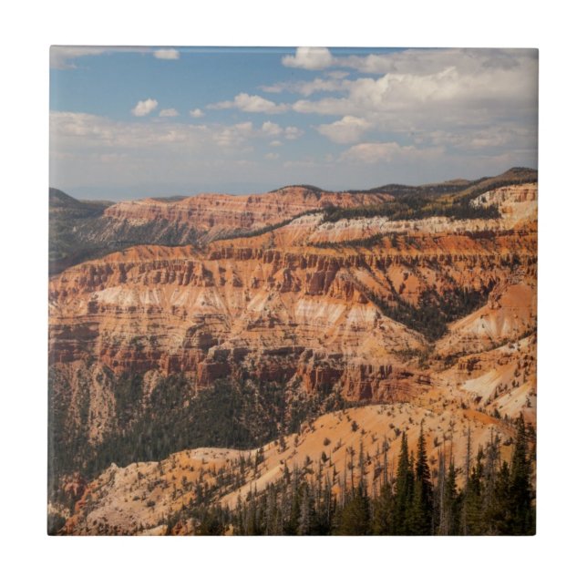 Carreau Le cèdre casse le monument national, Utah (Devant)