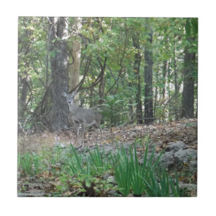 Carreau Le cerf à la lisière des bois