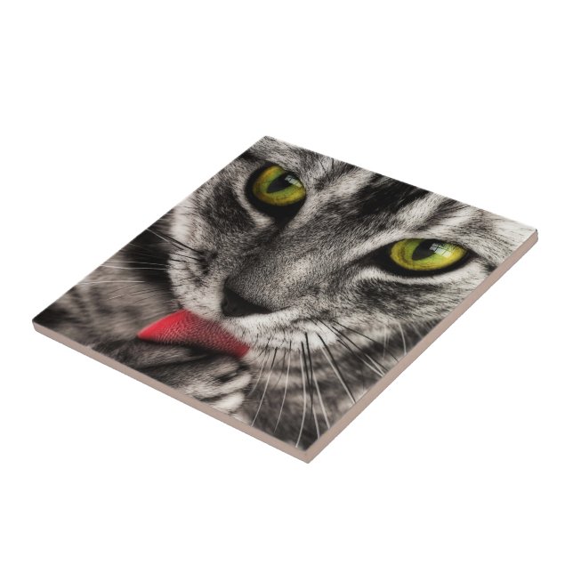 Carreau Le chat lèchent (Côté)