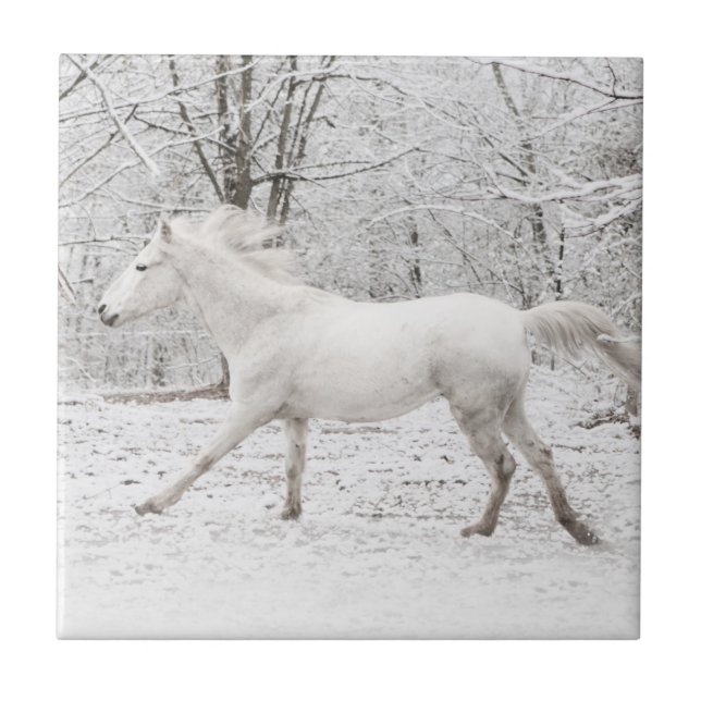 Carreau Le Cheval blanc galopant dans la neige (Devant)