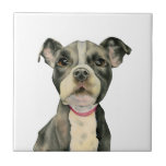 Carreau Le "chiot observe" la peinture d'aquarelle de<br><div class="desc">C'est une peinture d'aquarelle d'un chiot noir et blanc de pitbull. C'est une fin du chien avec de grands yeux de regard pleins d'espoir. Ceci a été peint sur le papier pressé chaud Arched avec des peintures d'aquarelle de Daniel Smith.</div>