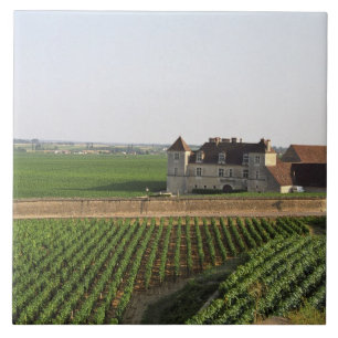 Carreau Le Clos de Vougeot monastère du XVIe siècle et