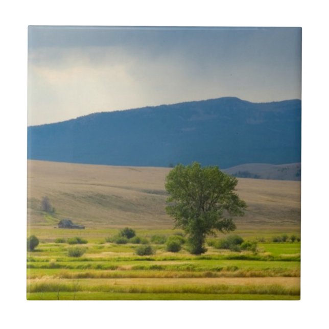 Carreau Le comté de Granite Montana (Devant)