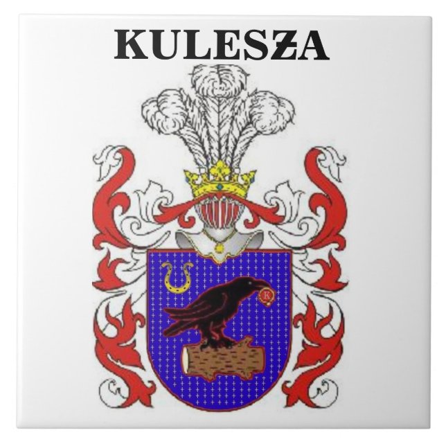 CARREAU LE CREST DE FAMILLE DE KULESZA (Devant)