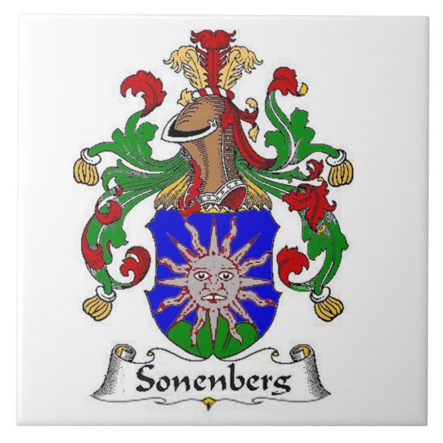 CARREAU LE CREST DE FAMILLE DE SONENBERG SUR LE MANTEAU DE (Devant)