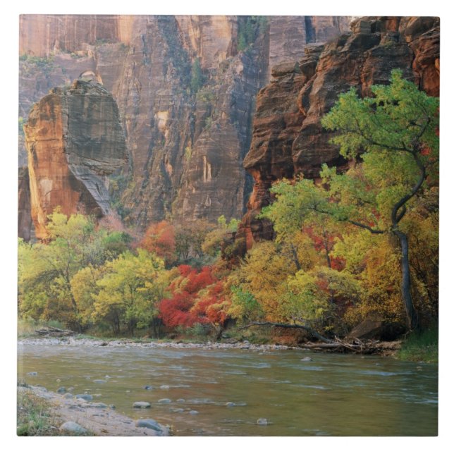 Carreau Le feuillage d'automne le long de la rivière Virgi (Devant)