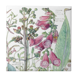 Carreau Le fleur sauvage botanique de digitale fleurit la