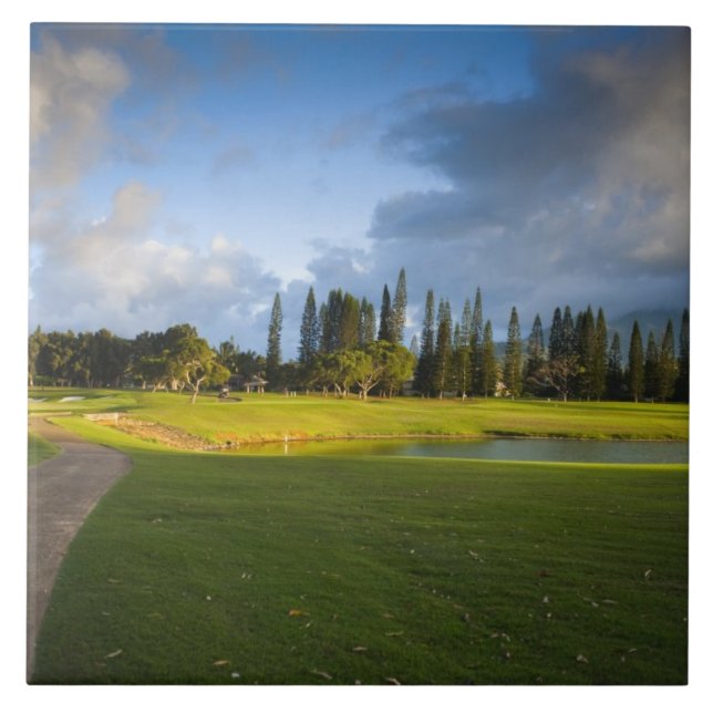 Carreau Le golf de Makai à Princeville (Devant)