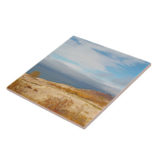 CARREAU "LE LAC MICHIGAN DORT DES DUNES D'OURS"