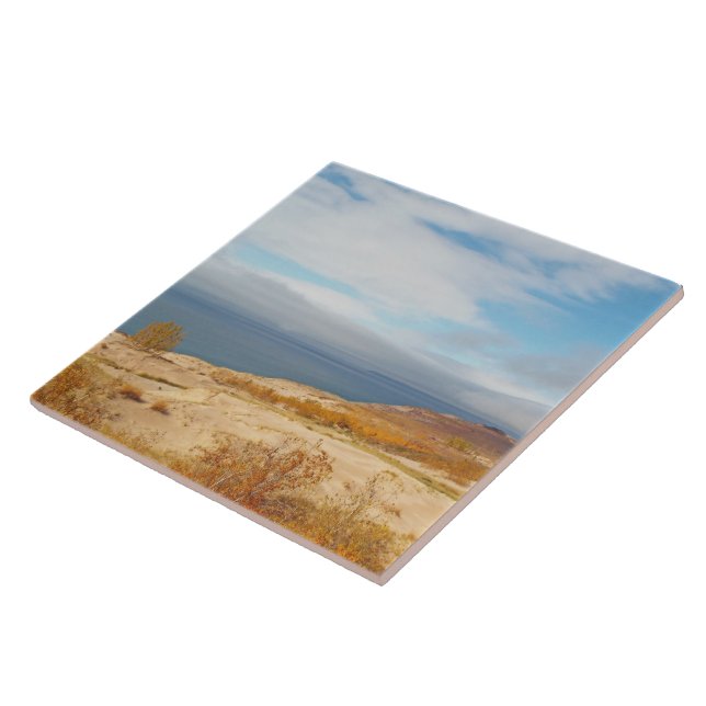 CARREAU "LE LAC MICHIGAN DORT DES DUNES D'OURS" (Côté)