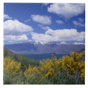 Carreau le lac Wakatipu et les Remarkables, Queenstown,