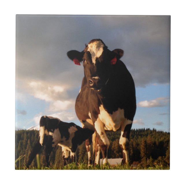 Carreau Le lait de la maman (Devant)