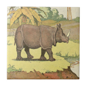 Carreau Le livre d'histoires de Rhinoceros