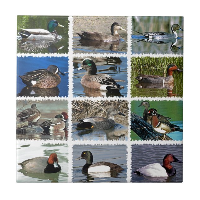 Carreau Le magma penche le logo (Devant)