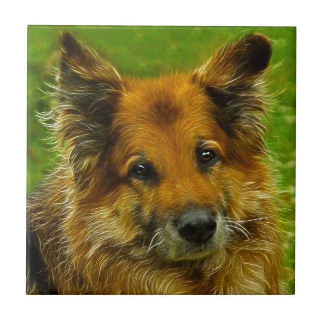 Carreau Le meilleur ami #2 de l'homme (Devant)