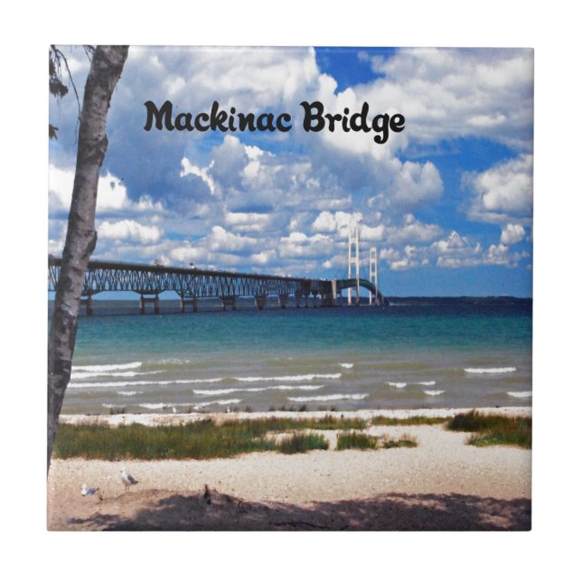 Carreau Le Michigan (Devant)