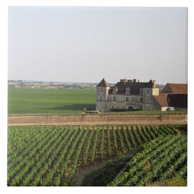 Carreau Le monastère du XVIe siècle du Clos de Vougeot et (Devant)