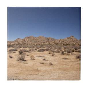 Carreau Le Parc national de Joshua Tree