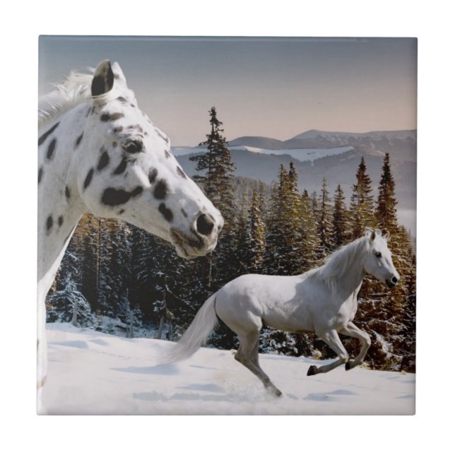 Carreau Le pays des merveilles d'hiver (Devant)