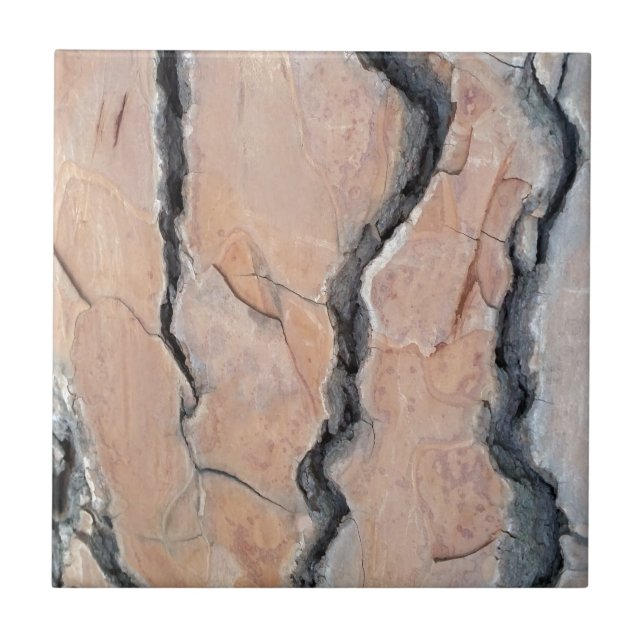 Carreau Le pin d'Alep (Devant)