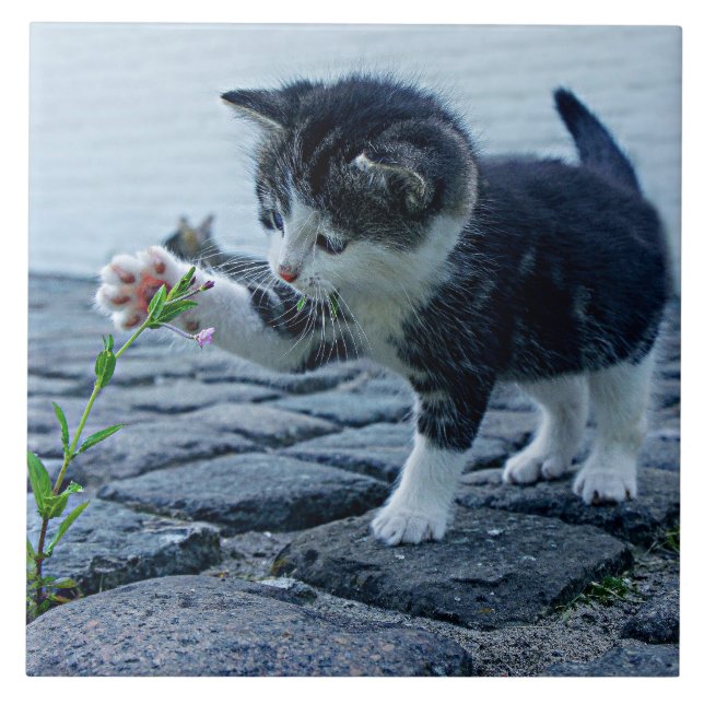 Carreau Le plus mignon chaton avec fleur (Devant)