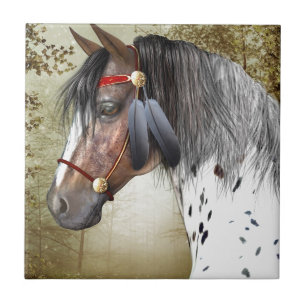 Carreau Le poney indien