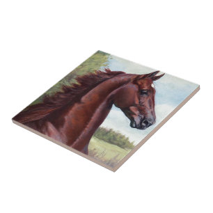 Carreau Le prince (le prince marchand de carte de travail