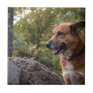 Carreau Le regard de la fidélité