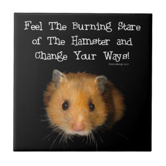 Carreau Le regard fixe de hamster