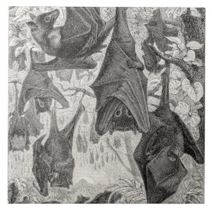 Carreau Le rétro modèle de 1800s de vol de batte vintage