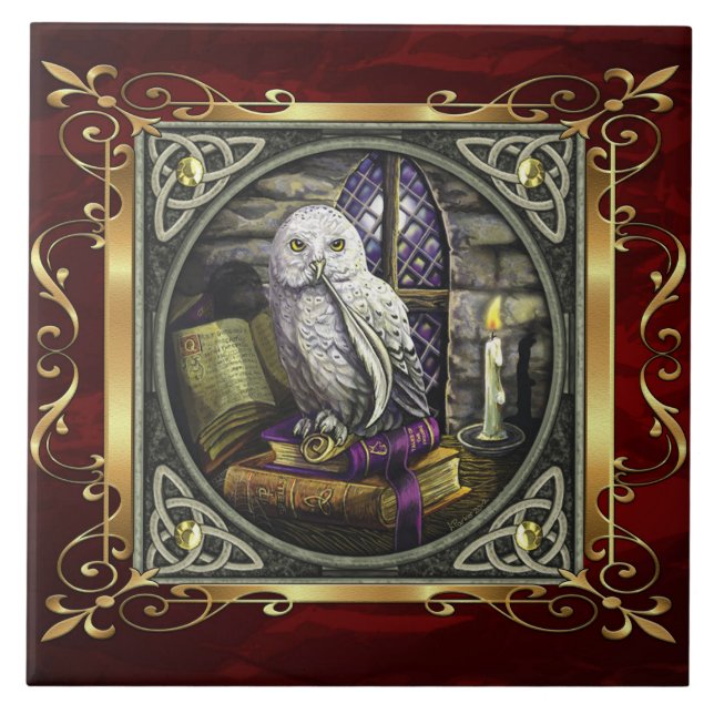 Carreau Le rituel médiéval rouge rouge de sorcellerie (Devant)