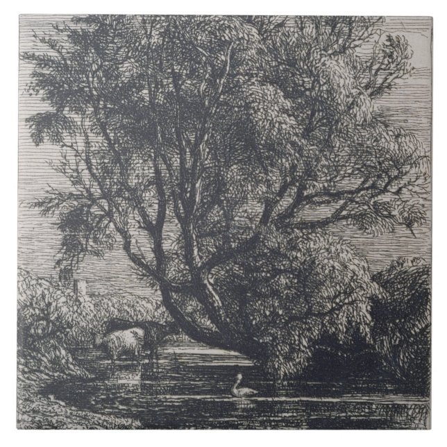 Carreau Le saule (gravure à l'eau-forte) (Devant)