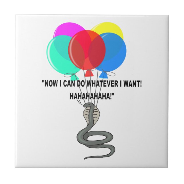 Carreau Le serpent volant (Devant)