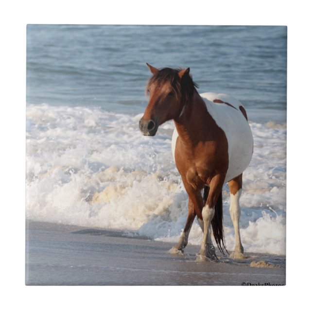 Carreau Le Sunset Beach Horse (Devant)