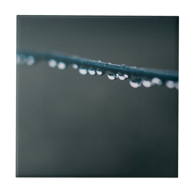 Carreau L'eau chute sur fil (Devant)