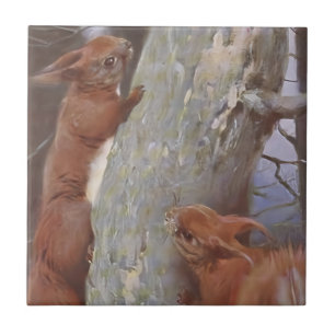 Carreau L'ÉCUREUIL (Sciurus vulgaris)