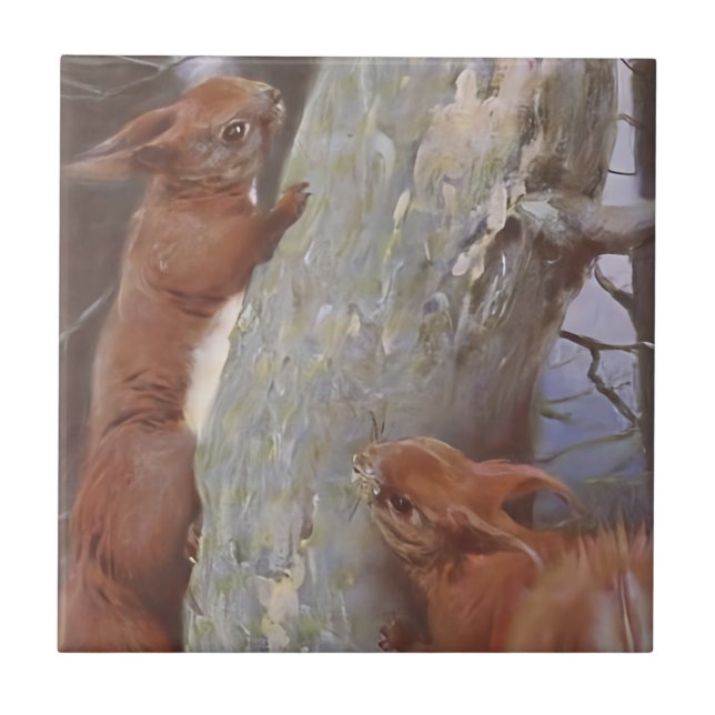 Carreau L'ÉCUREUIL (Sciurus vulgaris) (Devant)