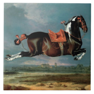 Carreau L'élevage du Cheval Piebald "Cehero"