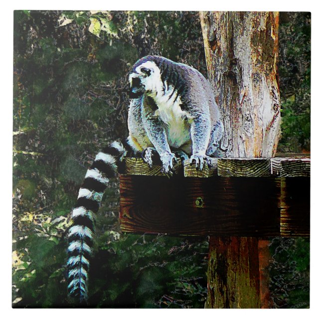 Carreau Lemur à anneau (Devant)