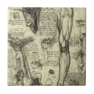 Carreau Leonardo da Vinci Vintage Anatomie humaine Larynx 