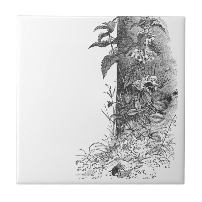 Carreau Les abeilles fréquentent la menthe fleurissante (Devant)