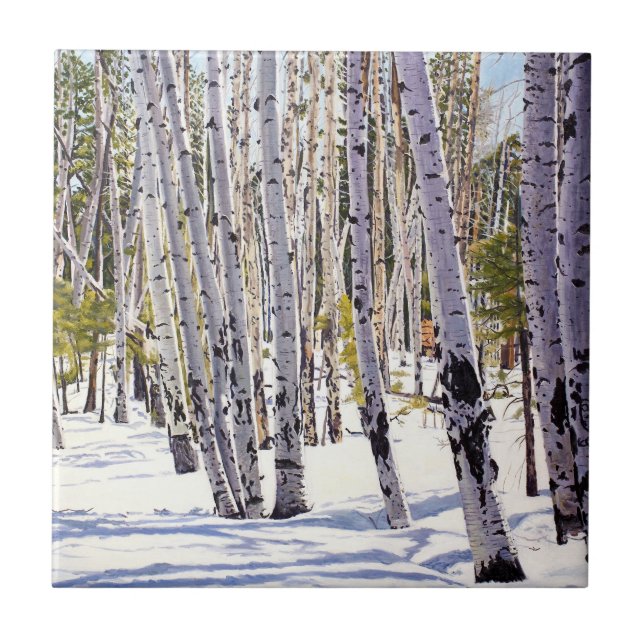 Carreau Les arbres d'Aspen dans la forêt (Devant)