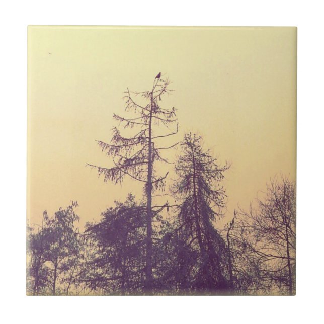 Carreau Les arbres et un oiseau (Devant)